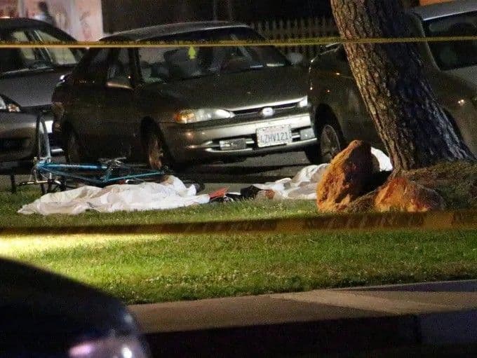 Zábery z miesta činu, zdroj: Sarasota Herald-Tribune