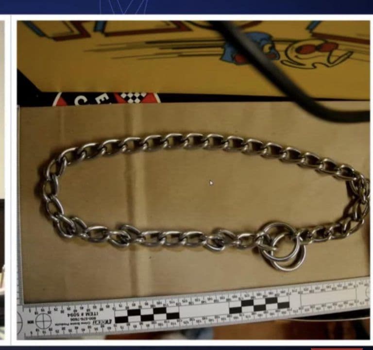 Vražedná zbraň (reťaz), zdroj: Reddit